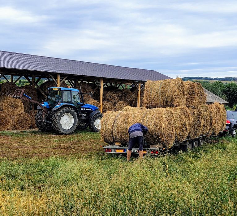 Baloti lucernă 125/125cm