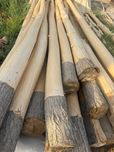 Актерек сатылады келисимли бахада
