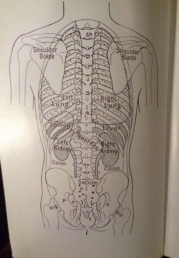 Black's medical dictionary