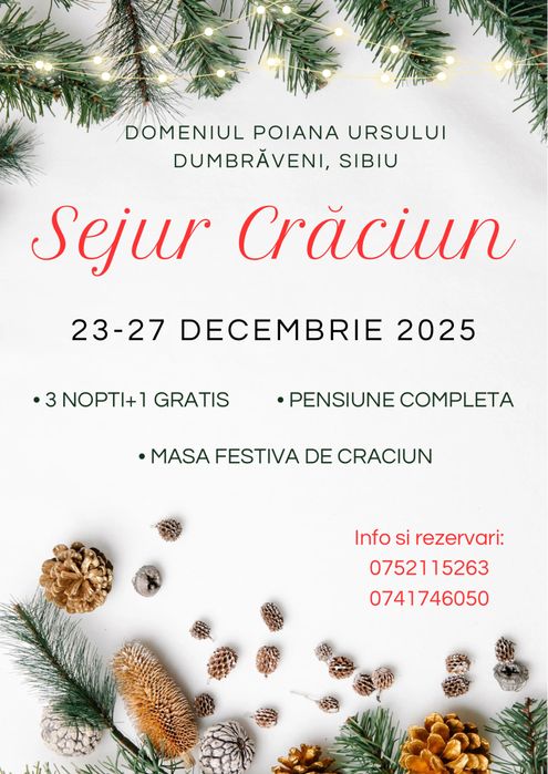 CraciunSighisoaraDumbraveni/Pensiune/Ciubăr/Saună/Sighișoara/Mediaș