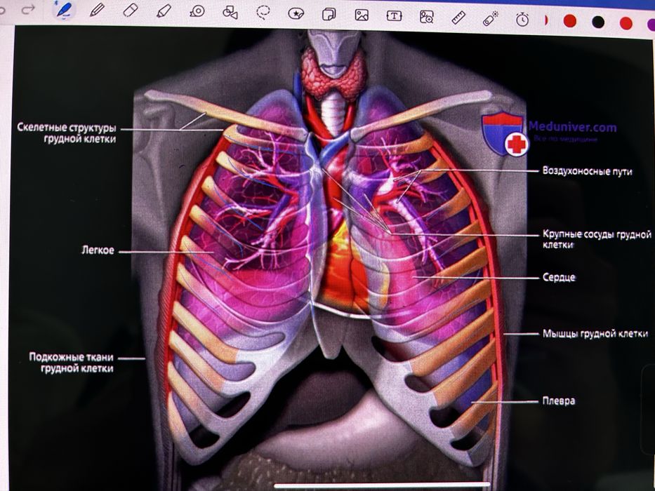 Денсаулық және бет күтімі бойынша консультация жүргізем