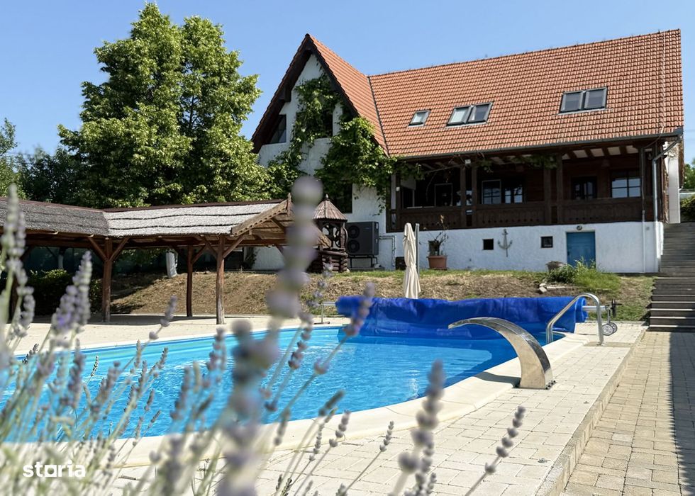 Casa / Restaurant / Pensiune / - pe malul lacului din Paleu - IMOBIHOR