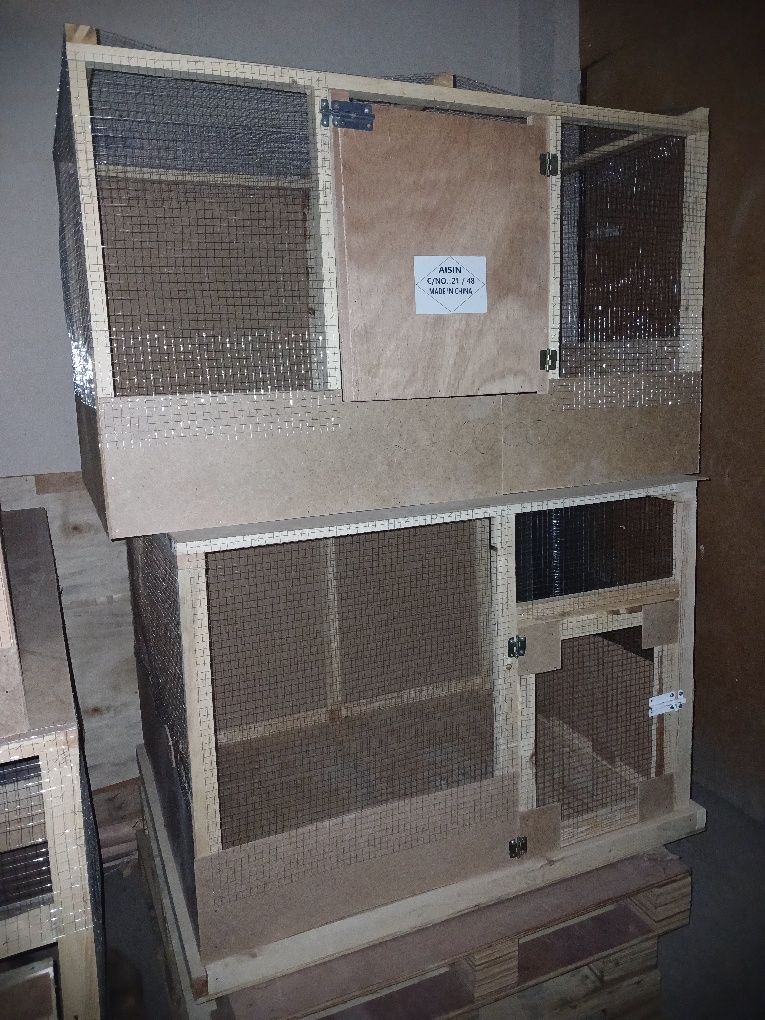 Katak Joja va tovuqlarga