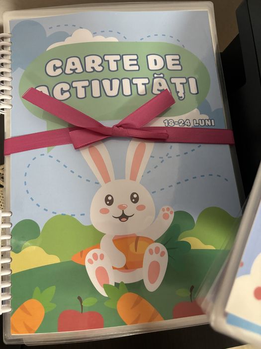 Carte de activitati