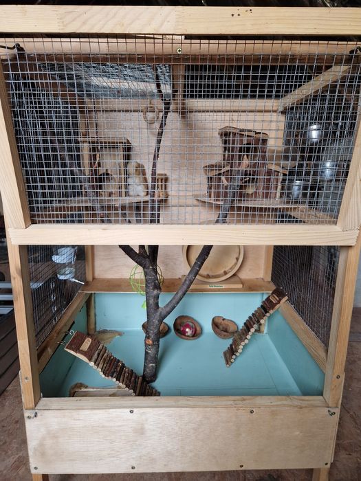 Vând cușcă veverițe ( rozătoare )