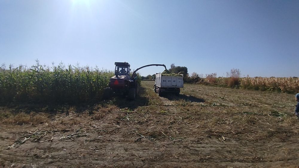 Silos,senaj,силос,Уриб берамиз