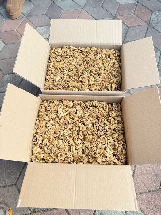 Vând jumătăți miez de nuca alb 2025!