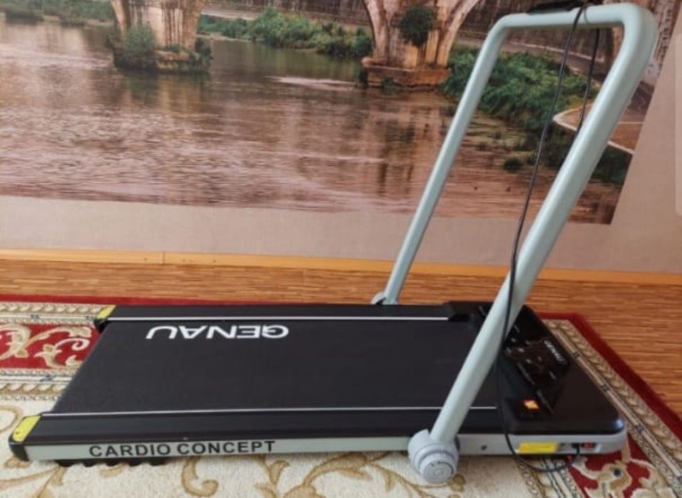 Беговая дорожка GENAU