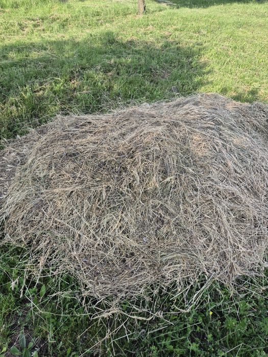 Vand fan pentru iepurasi