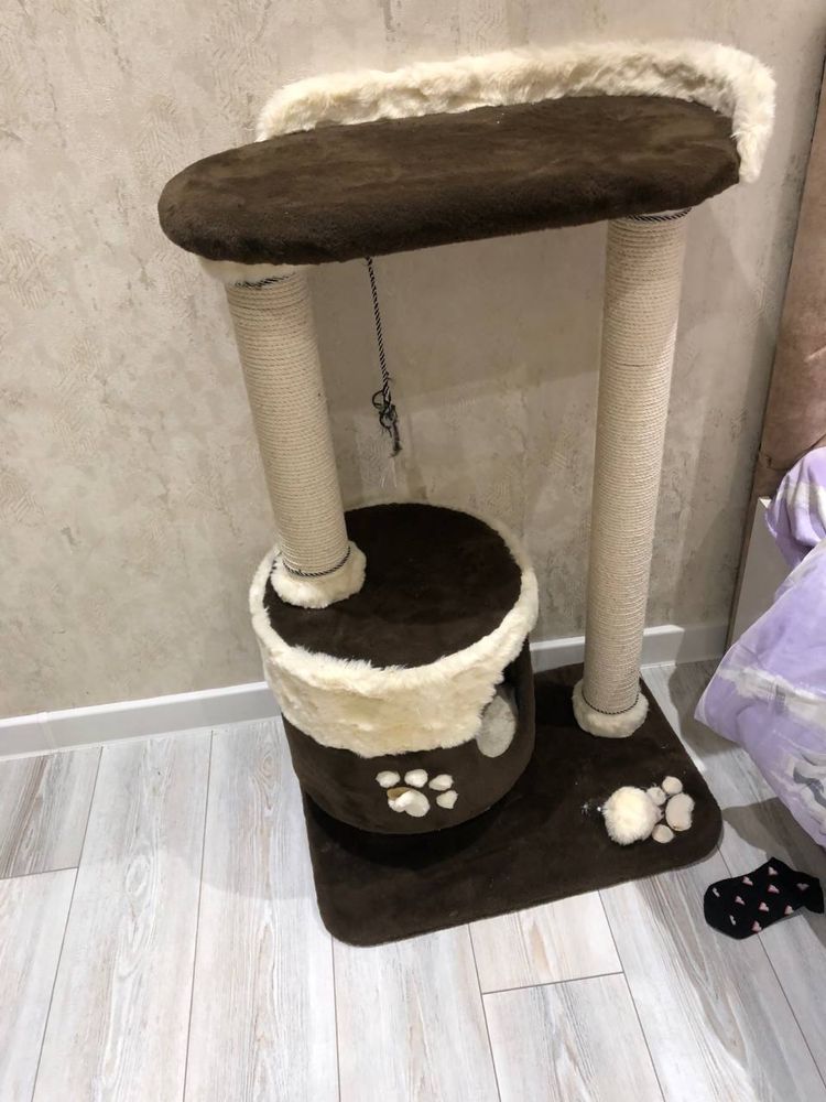 Кошка белая, девочка