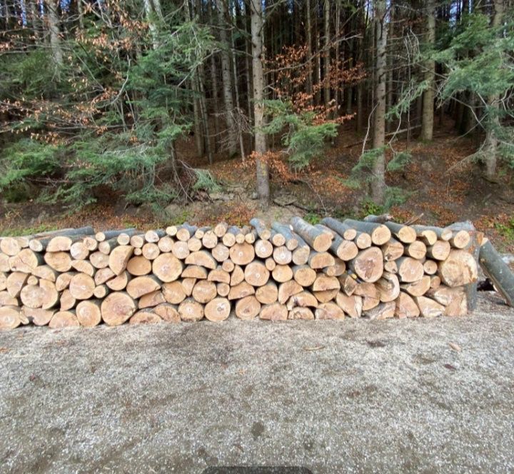 Vand lemne de foc esenta tare numai fag si carpen