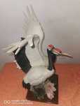 Statuie cocorii    .
