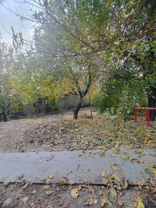 Yer Sotiladi, Nazarbek