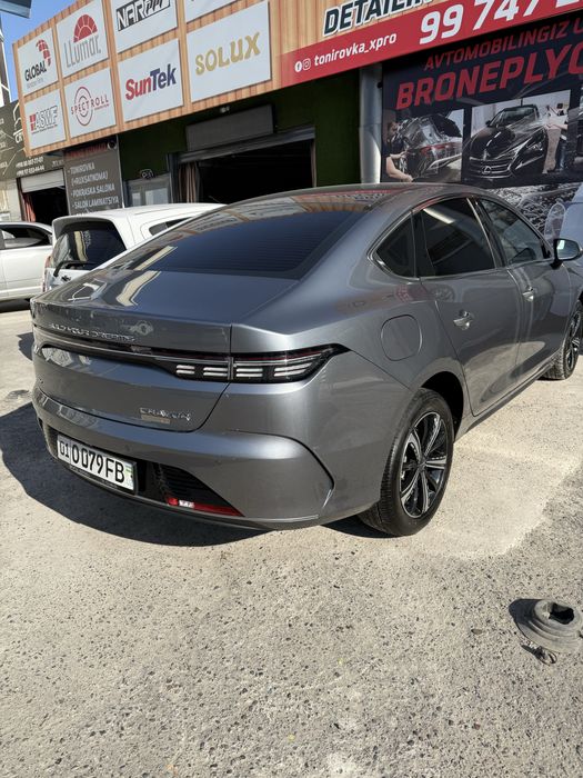 Chazor 2023  kraska toza