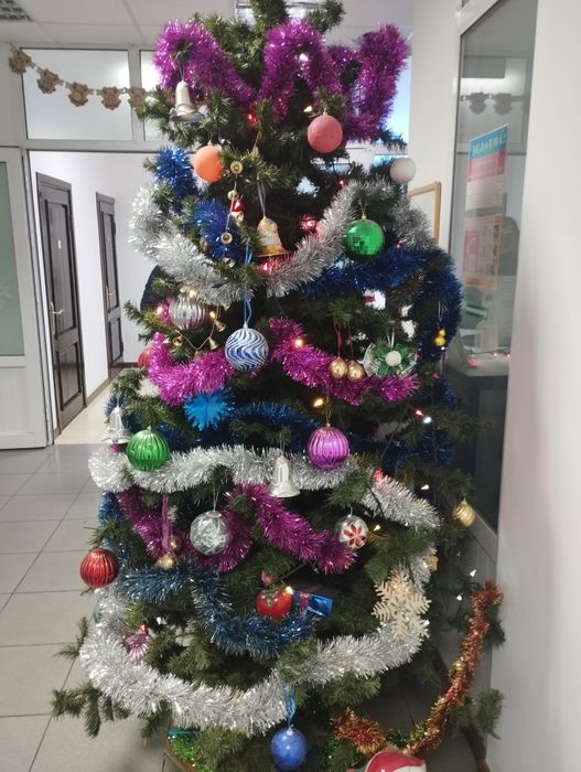 двухметровая Ёлка продаётся