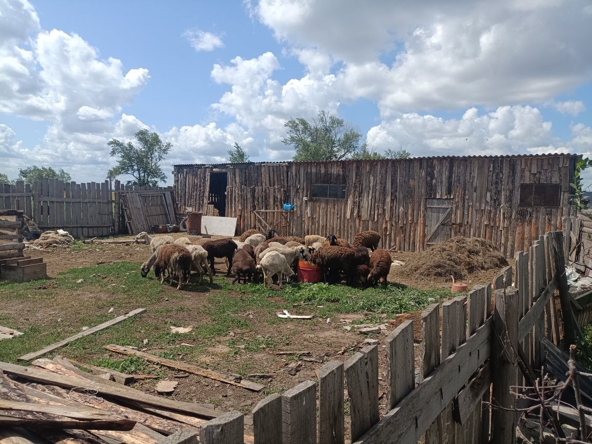 Продам дом в п. Васильевка