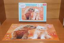Vănd puzzle Trefl