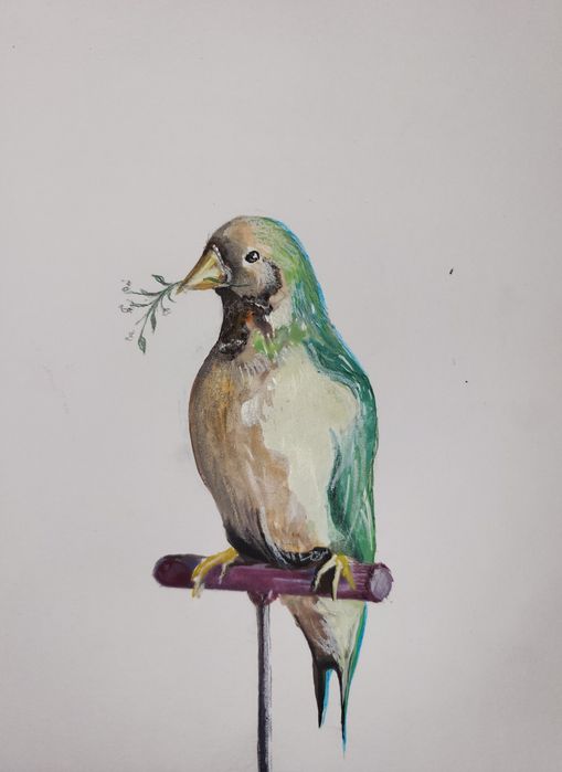 Pictură tehnică mixtă