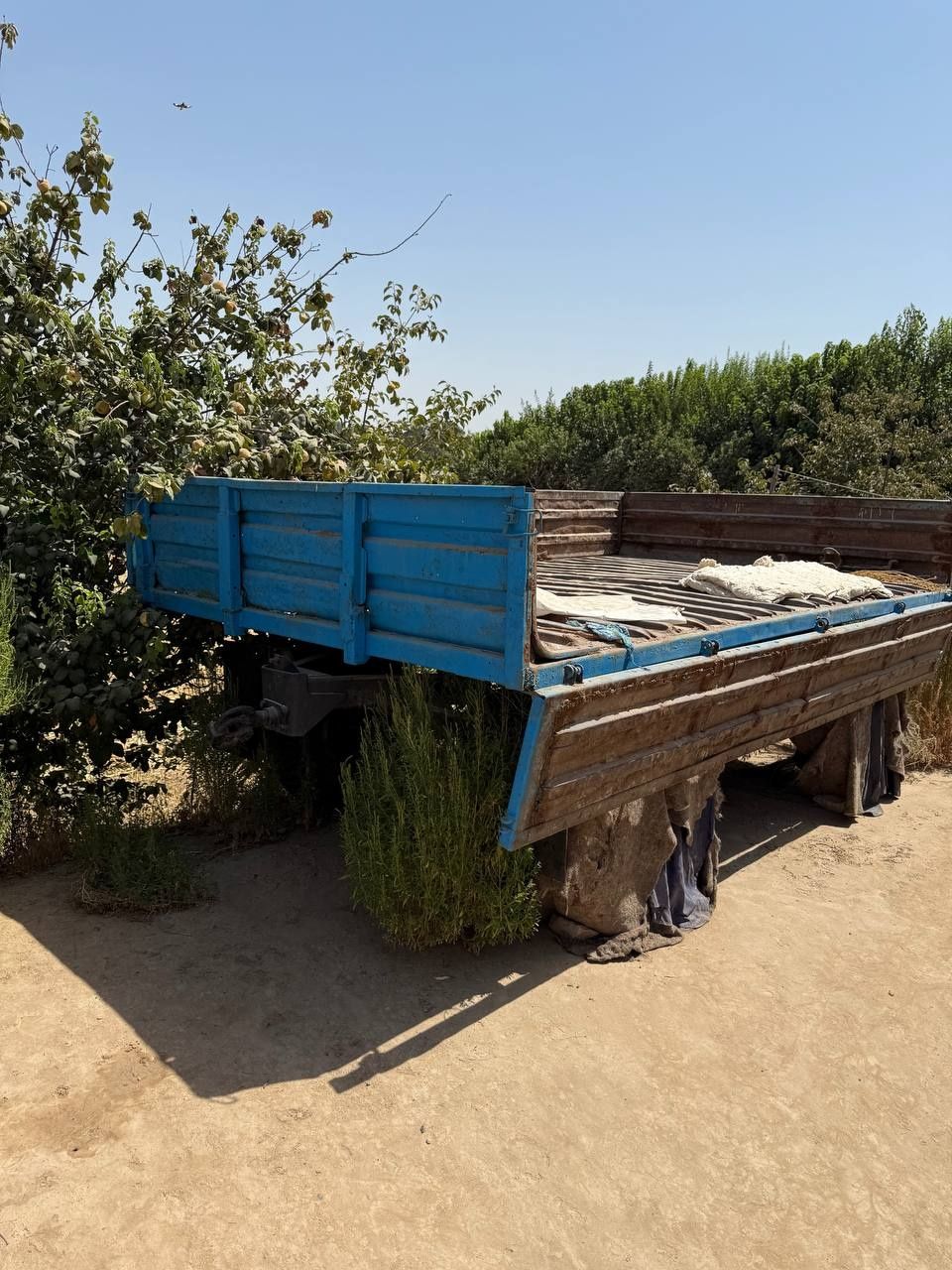 Traktor sotiladi