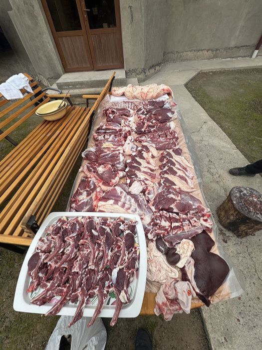 Qoy bor qassob hizmati