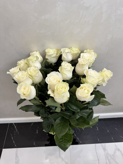 продается метровая роза 19 шт  свежая белая