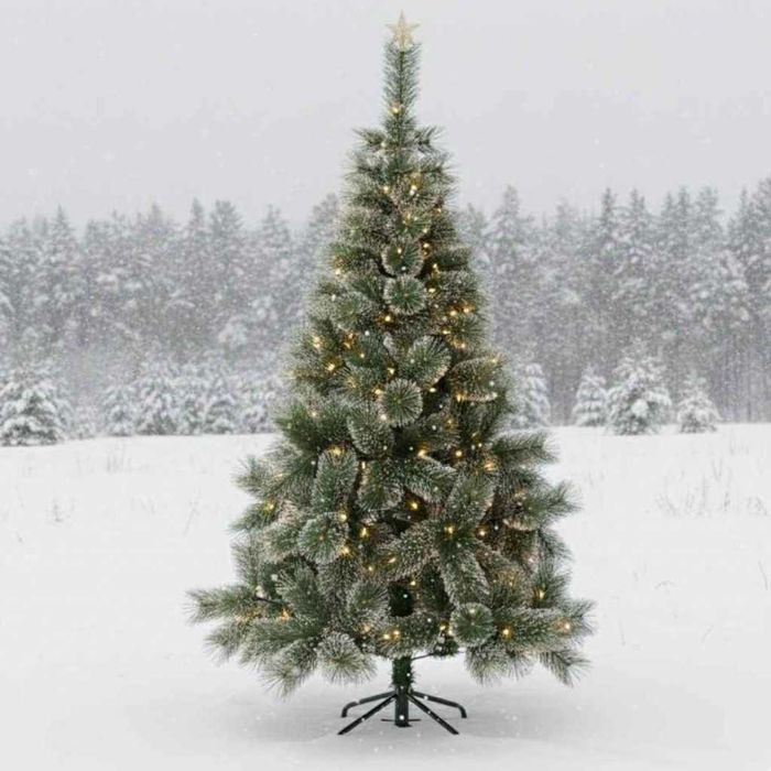 Коледна елха с бели заскрежени връхчета.