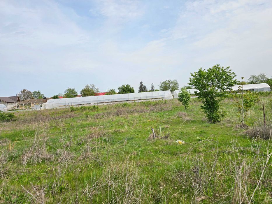 Teren intravilan curti constructii Darza pentru casa sau duplex