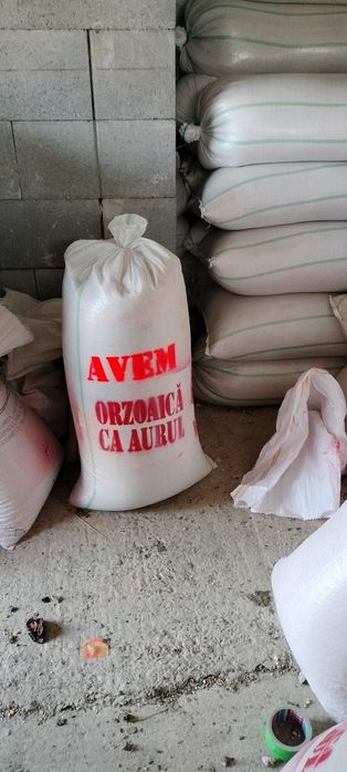 Vînd orzoaica de primăvara