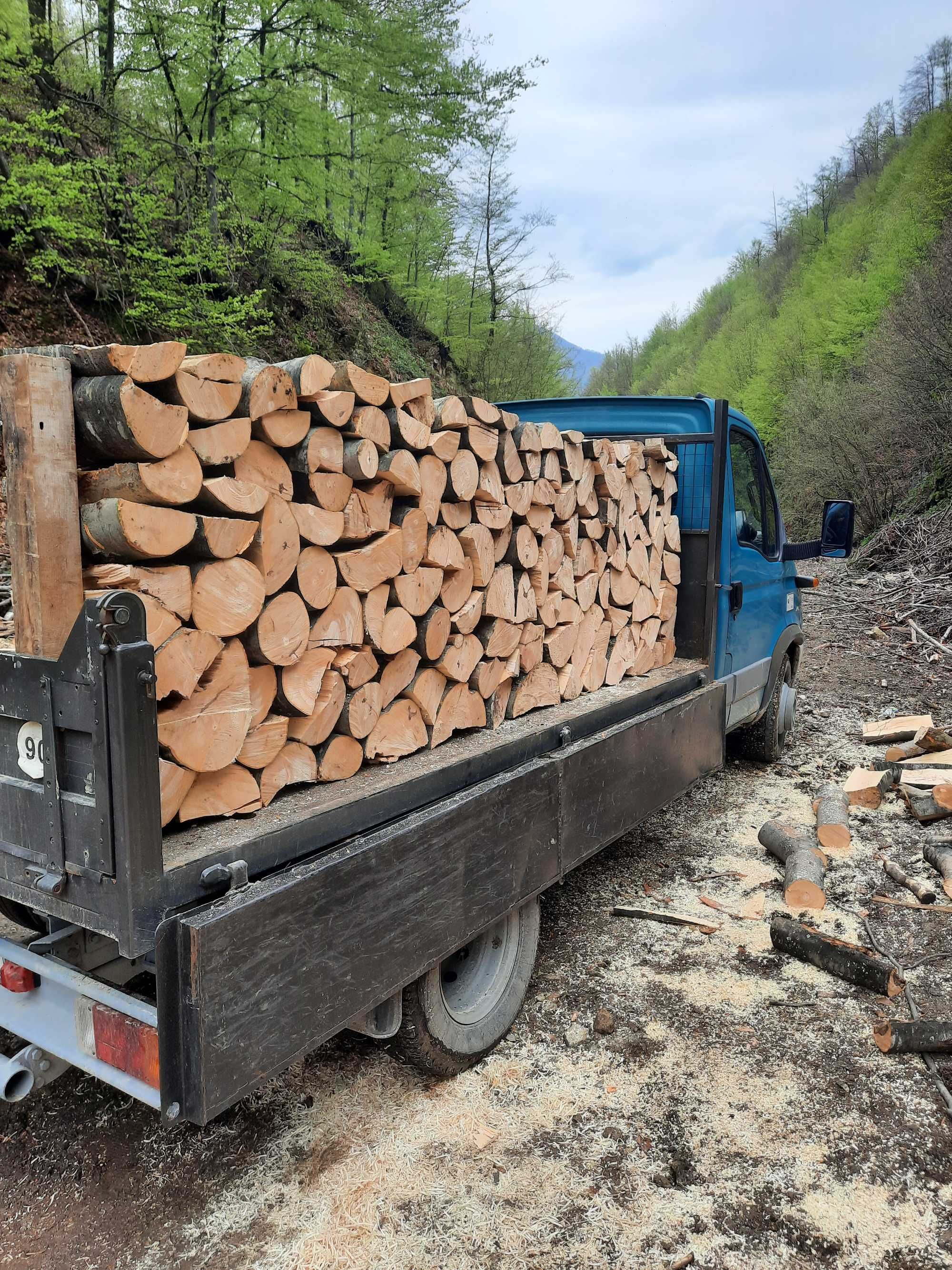 Lemne de foc de vanzare