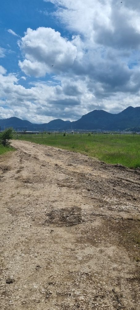 Teren investitie zona Calea Bucuresti 7300 mp