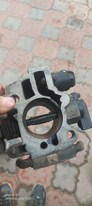 Zaslonka lada samaraniki