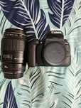 Canon 77D + canon 100mm F2.8 USM