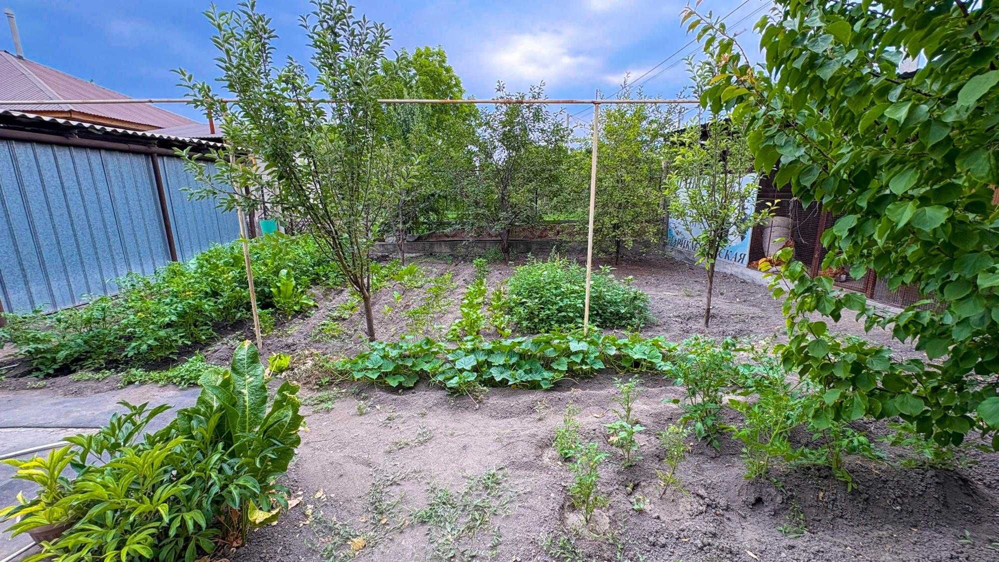 Продам дом в районе рынка Ольга Империя