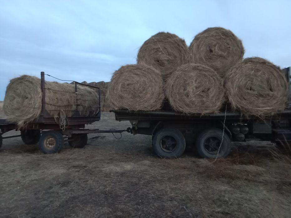 Продам сено и марка