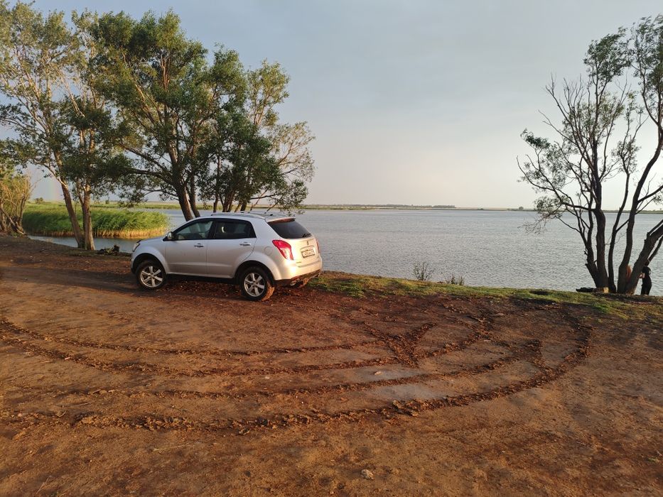 Ssang Yong Action 2016