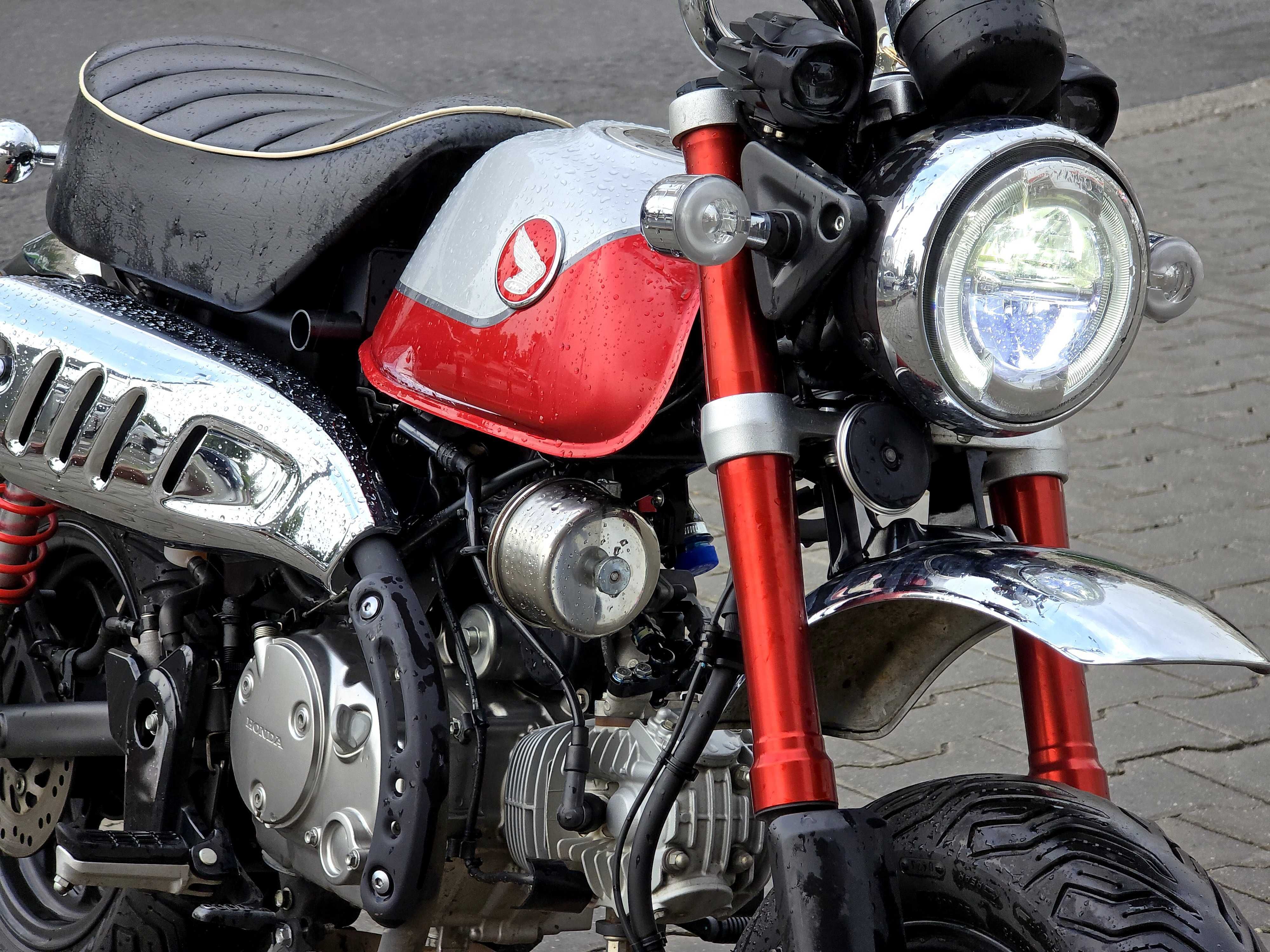 Honda Monkey 2022 125cc A1