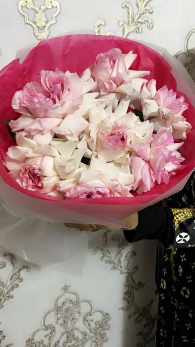 Свежые и новые смотрет очень красивые