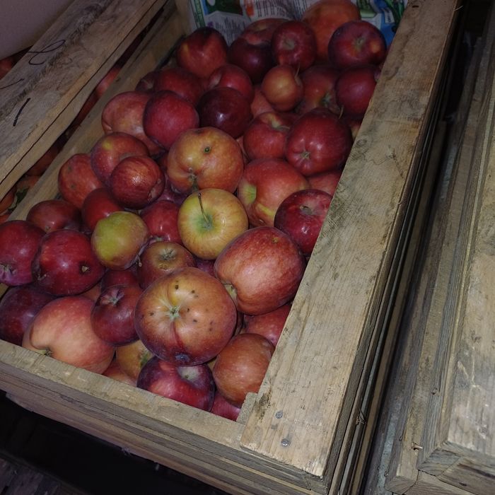 Продам яблоки 2 сорт.