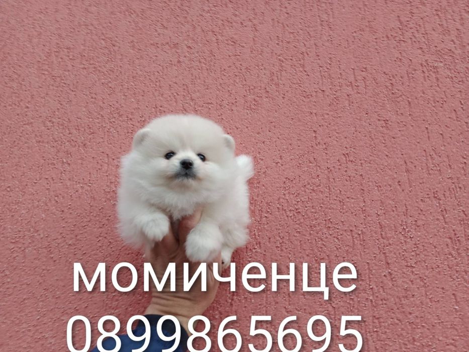 Померани . Момичета