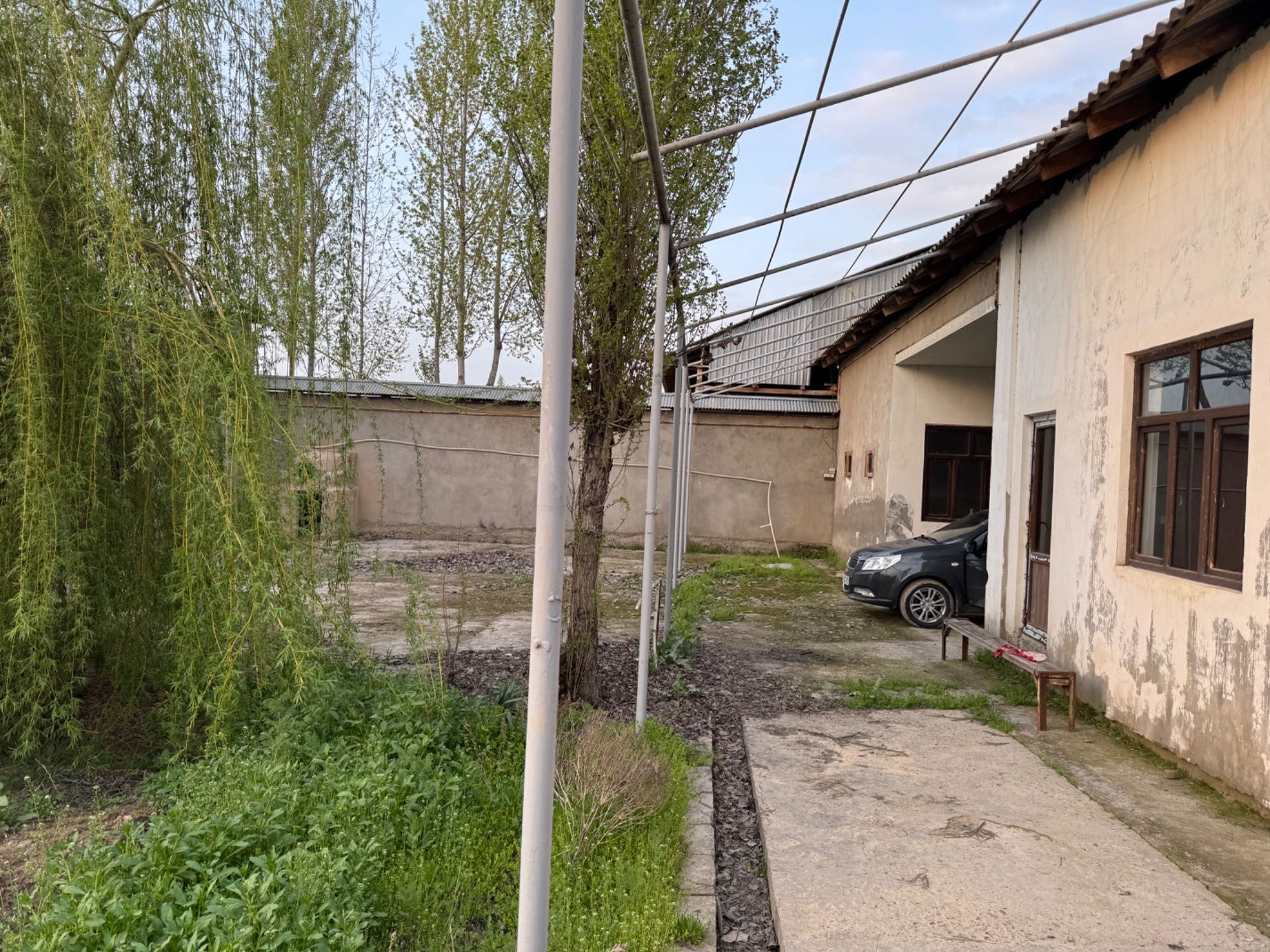 Yangiyolda 20 sotik ferma sotiladi hama sharoit bor