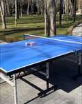 Стол теннис, Ping pong