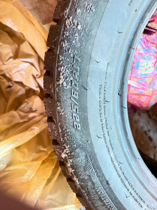 Зимний шипованные шины Triangle