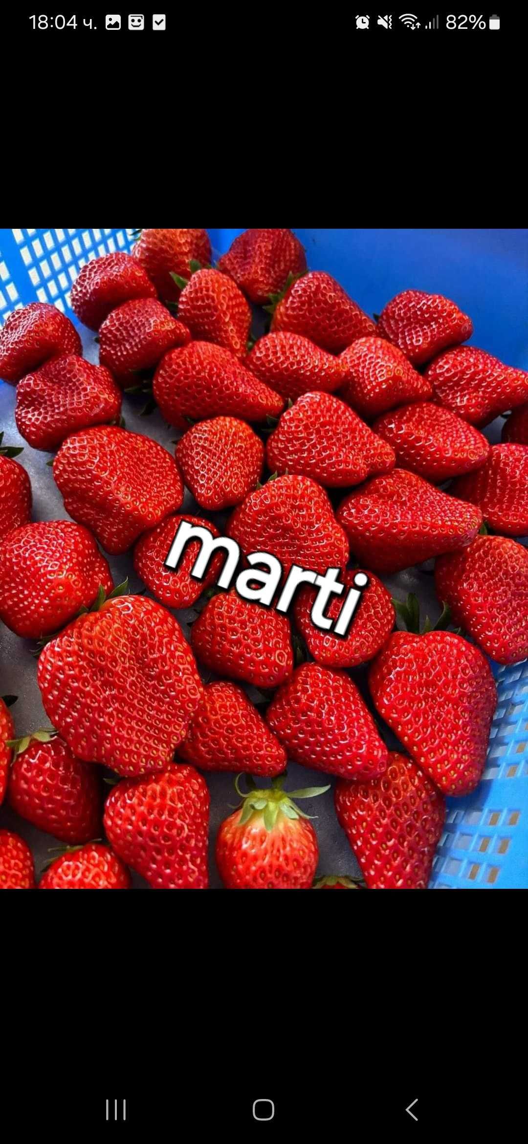 Разсад ягоди и малини