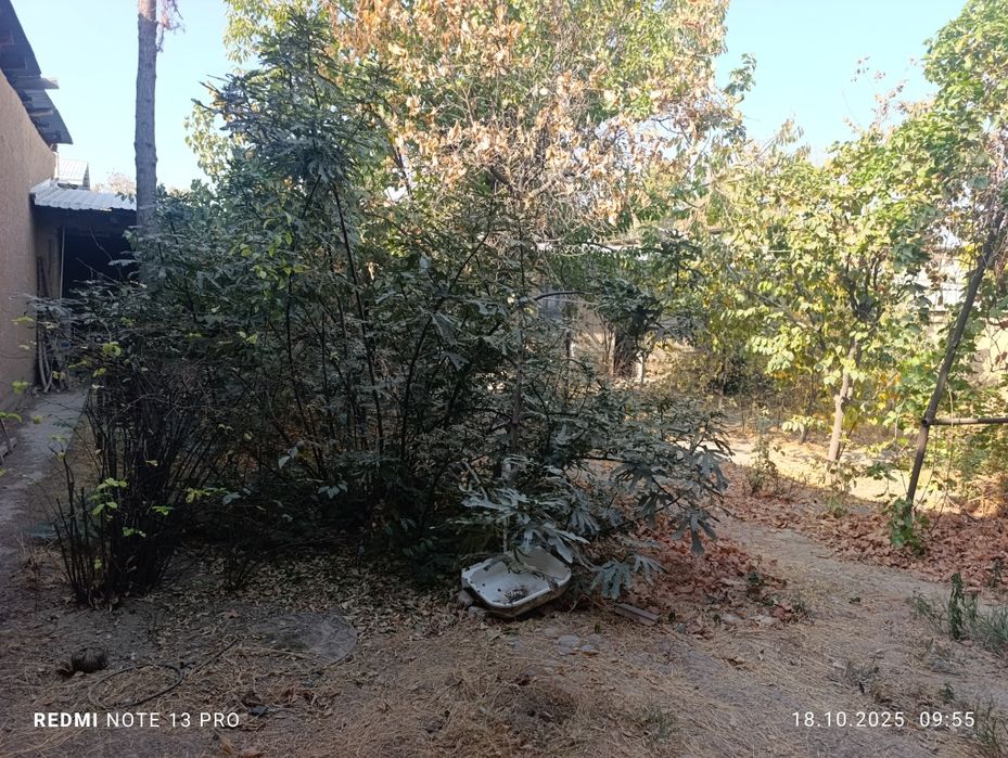 Бешкайрагоч 4 сотых Хазрат Али масжид йонида ховли жой