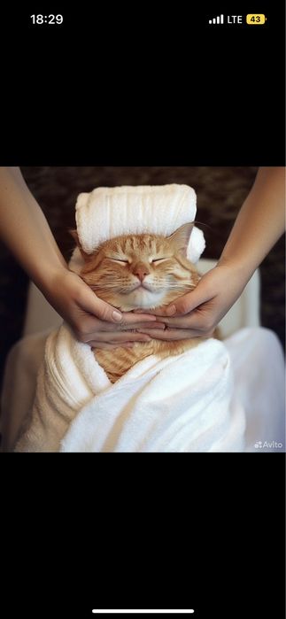 Массаж классический