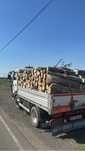 Lemne de foc esență tare