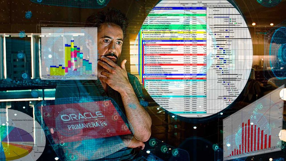 Профессия: Инженер по планированию в строительстве (Primavera P6)