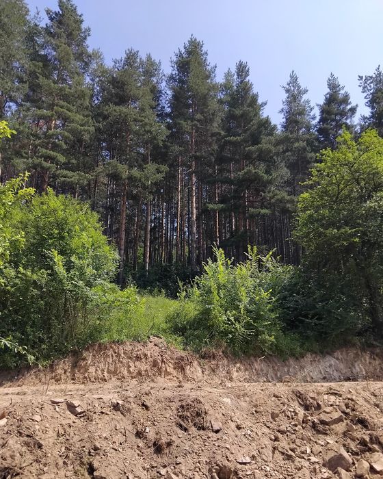 Продава се Къща в Кюстендил, Никола Въжаров - 100 кв.м за 306 €/кв.м - Снимка #7