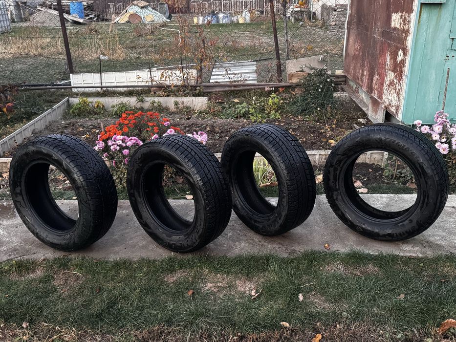 Зимние шины TRIANGLE + с дисками NEO