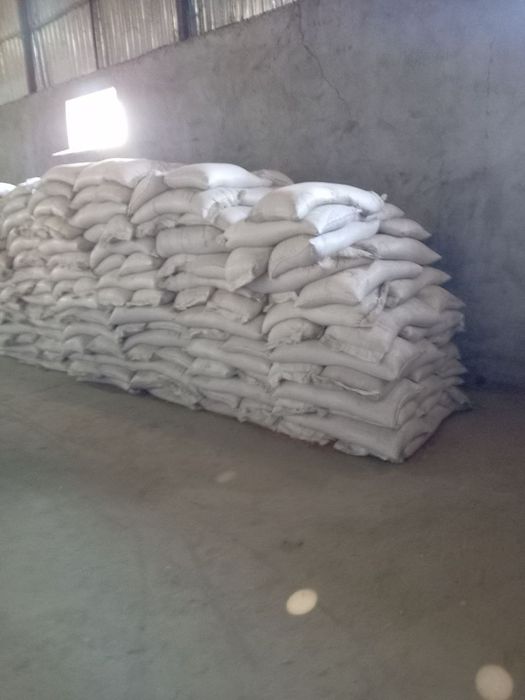 Bug'doy urug' BAGRAT Rossiyaniki